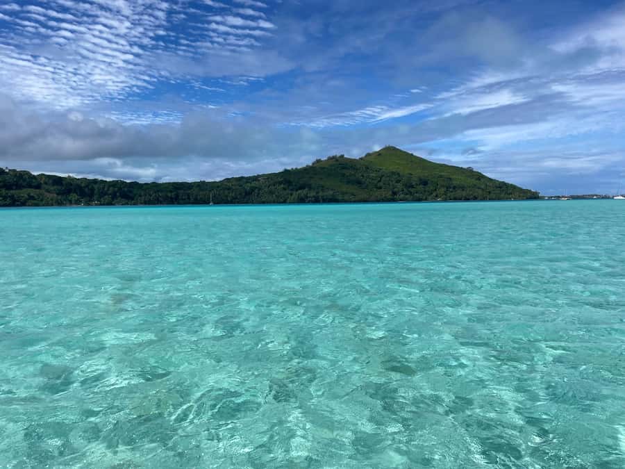 Bora Bora: 1/2 day Coral Discovery tour - Shared tour - Starting from Bora Bora’s hotel piers