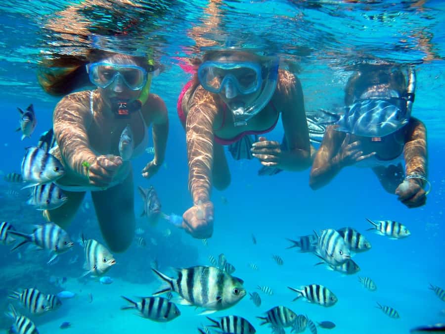 Bora Bora: 3.5-Hour Lagoon Boat Tour with Snorkeling - What weather can change