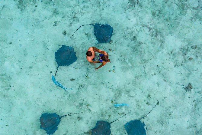 Bora Bora 4WD Tour & Eco Shark & Ray Snorkel Cruise - Is $260.58 a fair price?