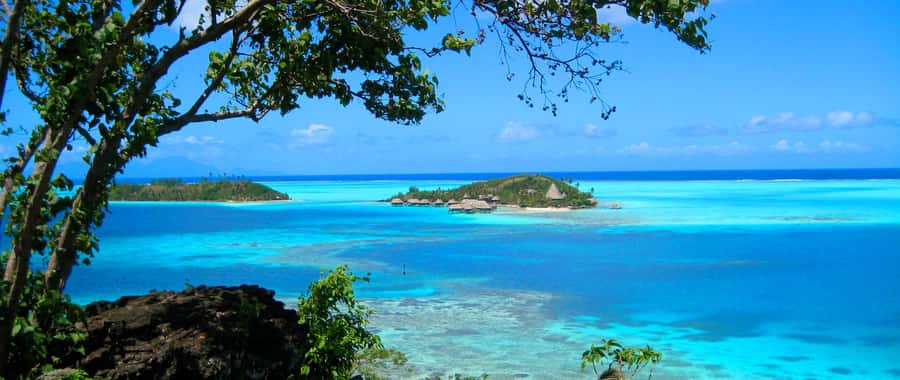 Bora Bora: 4x4 Safari with Snorkelling Combo Tour - The coral garden and its small fish