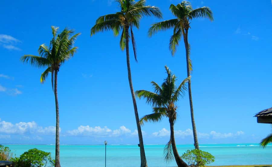 Bora Bora: 4x4 Safari with Snorkelling Combo Tour - Guides, music, and the human side of the tour