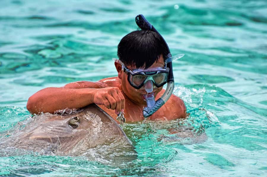 Bora Bora: 4x4 Safari with Snorkelling Combo Tour - The 4x4 route through Faanui and Bora Bora’s interior