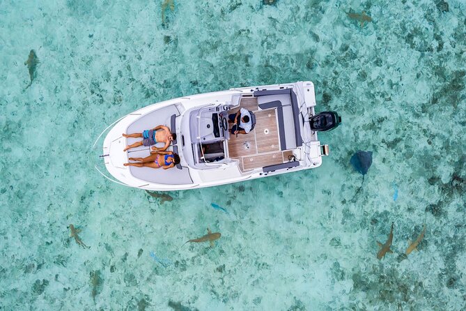 Bora Bora adventure Private Combo Jet Ski and Eco Sharks Snorkel - Key points at a glance