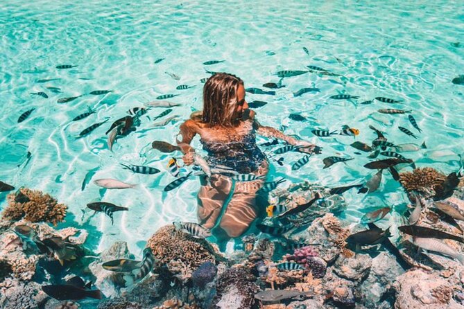 Bora Bora adventure Private Combo Jet Ski and Eco Sharks Snorkel - Why this pairing works on Bora Bora