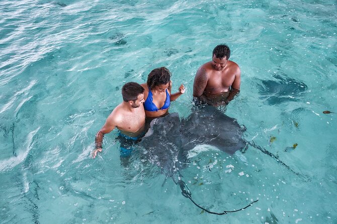 Bora Bora adventure Private Combo Jet Ski and Eco Sharks Snorkel - Afternoon snorkeling with sharks, rays, and reef fish