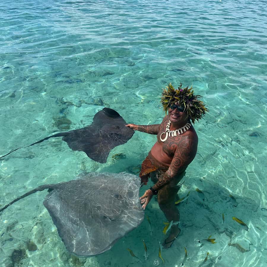 Bora Bora: Blue Lagoon Cruise, Snorkeling and Lunch . - Shark and ray viewing with a careful guide