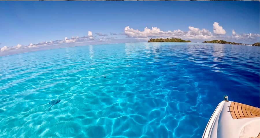 Bora Bora: Blue Lagoon Cruise, Snorkeling and Lunch . - What to pack for the water and sun