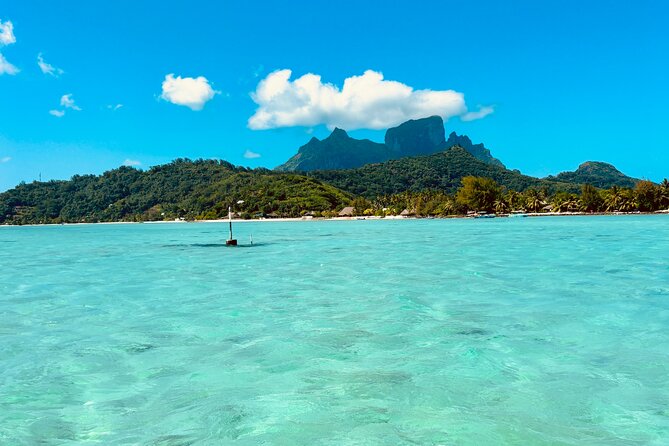 Bora Bora Complete tour of the lagoon in 2H - Key points to know before booking