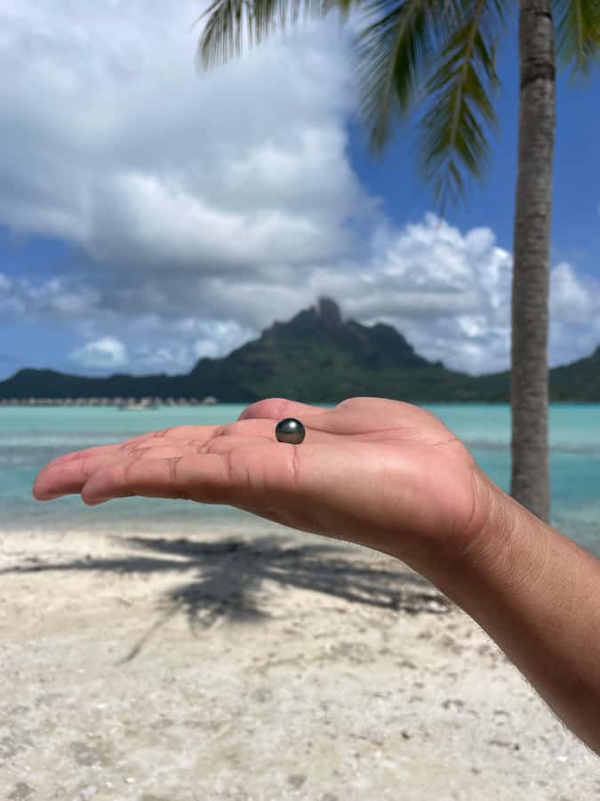 Bora Bora: Discovering the Tahitian black pearl ! - Snorkeling among the oyster baskets