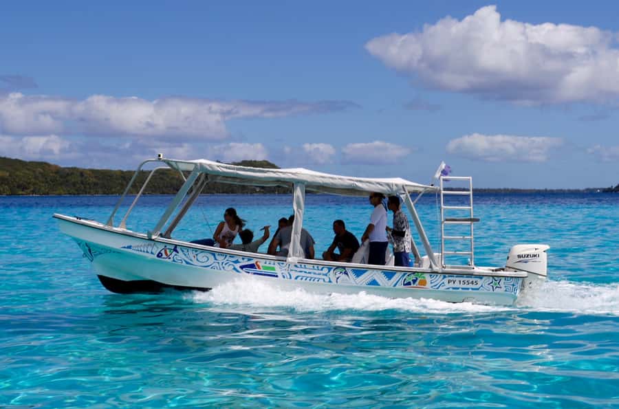 Bora Bora: Eco Shark and Snorkeling Safari - Stop two: eagle rays and changing wildlife