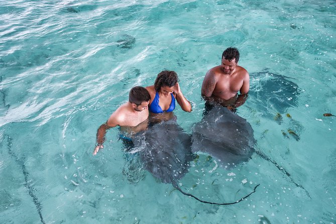 Bora Bora Eco Snorkel Cruise Including Snorkeling with Sharks and Stingrays - Manta rays, eagle rays, and other possible sightings