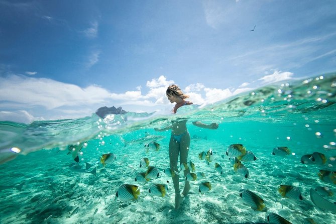 Bora Bora Eco Snorkel Cruise Including Snorkeling with Sharks and Stingrays - Price and overall value at $118.37