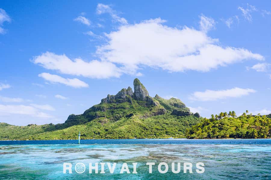 Bora Bora: Full day Lagoon Safari & Lunch on a Motu - ST - Swimming with blacktip reef sharks and stingrays