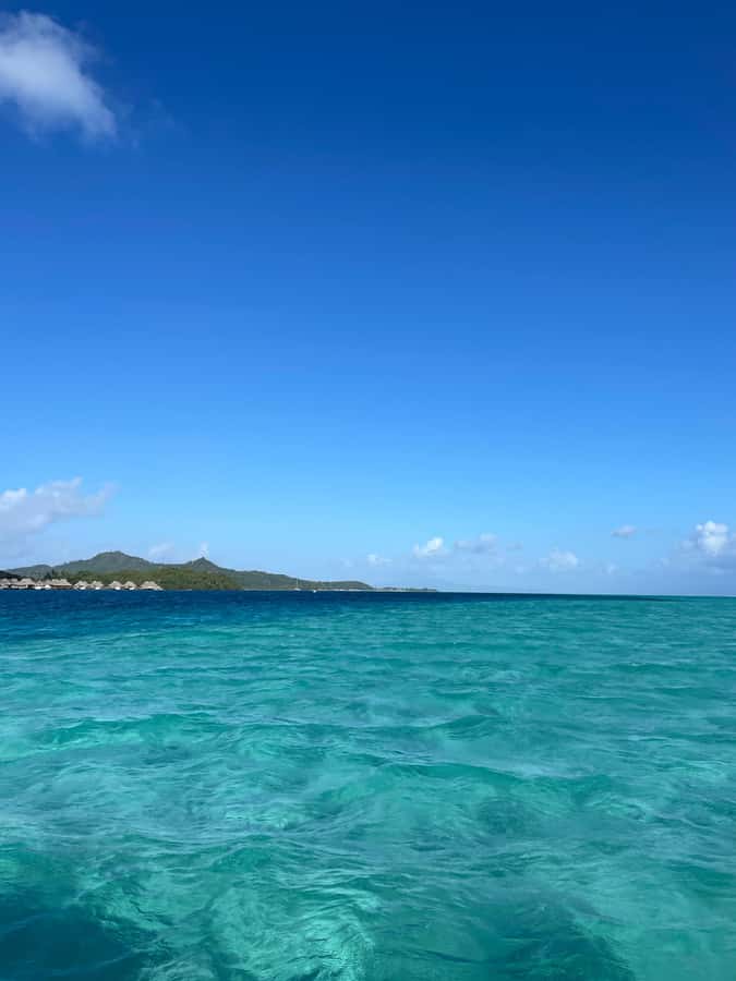 Bora Bora: Full day Lagoon Safari & Lunch on a Motu - ST - Should you book the Bora Bora lagoon safari?