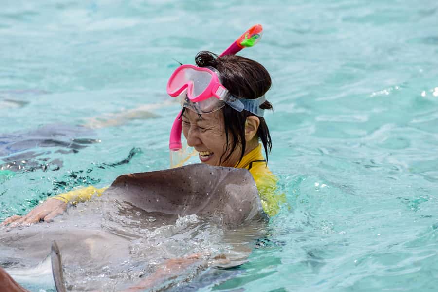 Bora Bora: Full-Day Lagoon Snorkelling Tour - Waist-deep water with rays and small sharks