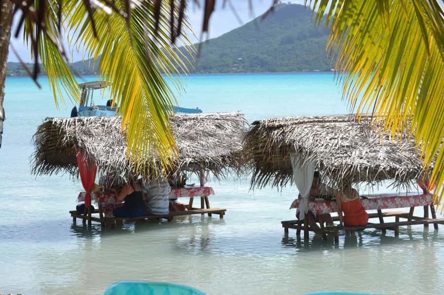 Bora Bora: Full-Day Lagoon Snorkelling Tour - The coral garden and its colorful fish