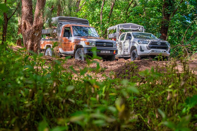 Bora Bora Half Day 4X4 Island Safari Tours - Why a 4x4 reveals a different Bora Bora