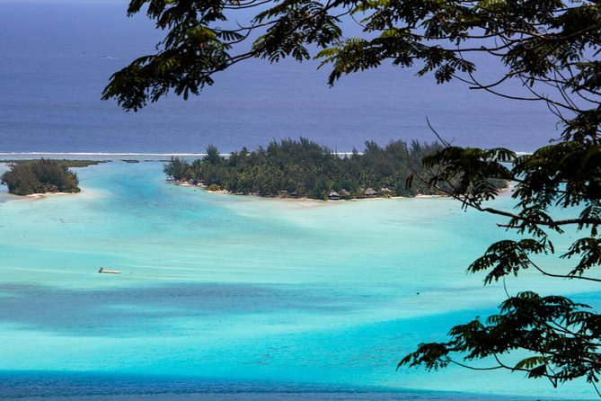 Bora Bora Half Day 4X4 Island Safari Tours - Small group size and pickup details
