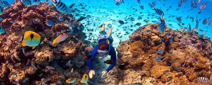 Bora Bora: Half Day Catamaran Sailing & Snorkelling - Boarding at your hotel dock by speedboat