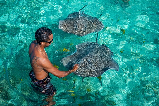 Bora Bora Half Day Snorkeling - Manta rays, sharks, and stingrays