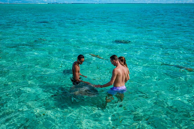 Bora Bora Half Day Snorkeling - What to pack and what to expect