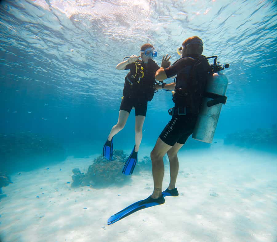 Bora Bora: Introductory Dive - Pickup sets the tone for the two-hour outing