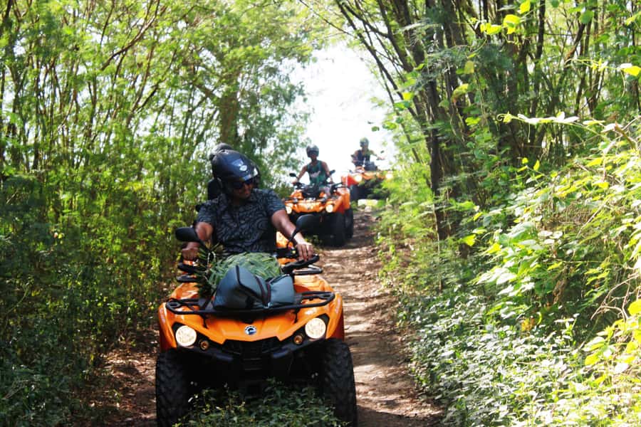 Bora Bora: Island Tour and Mountains Getaway by Quad Bike - What this Bora Bora quad tour really offers