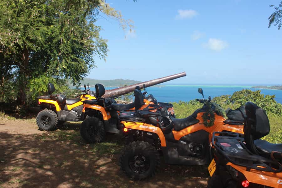Bora Bora: Island Tour and Mountains Getaway by Quad Bike - A family property, exotic fruit, and ipo