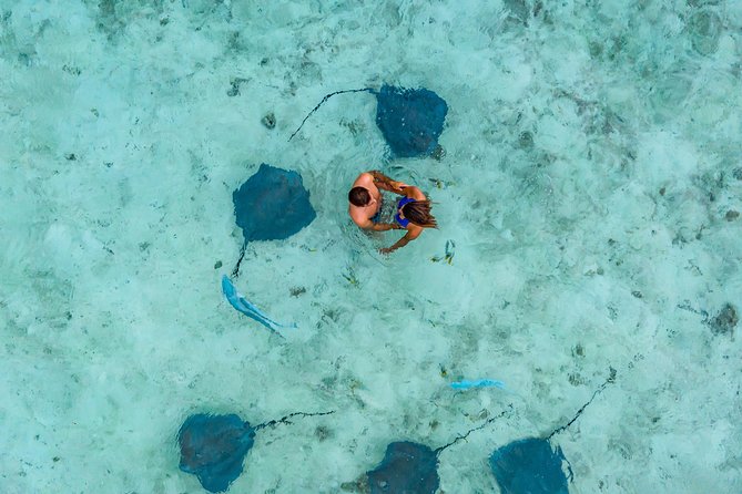 Bora Bora Jet Ski Tour, & Eco Shark / Ray Snorkel Cruise - Mount Otemanu from the water