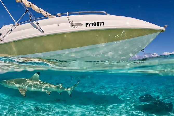 Bora Bora Jet Ski Tour, & Eco Shark / Ray Snorkel Cruise - Coral gardens and changing water conditions