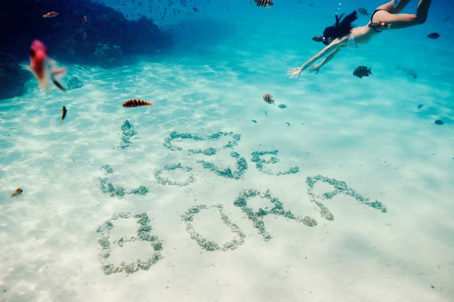 Bora Bora: Lagoon Tour and Snorkeling Experience - Key points at a glance