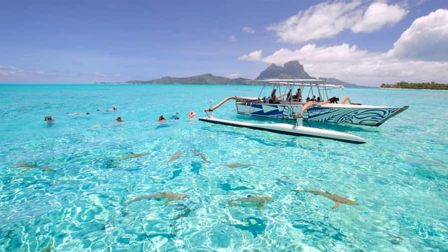 Bora Bora: Lagoon Tour and Snorkeling Experience - Stop one: friendly stingrays in shallow water