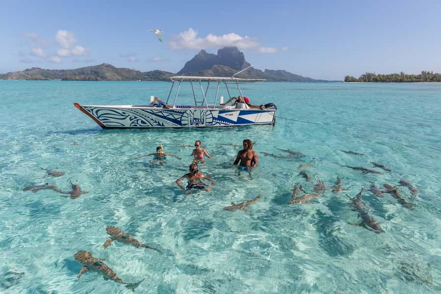Bora Bora: Lagoon Tour and Snorkeling Experience - Stop two: Bora Bora’s coral garden