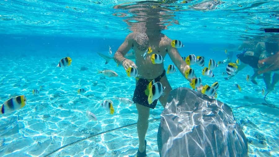 Bora Bora: Lagoon Tour and Snorkeling Experience - The sandbank pause with Mount Otemanu views