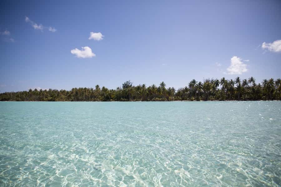 Bora Bora: Lagoon Tour and Snorkeling Experience - Guides make the biggest difference