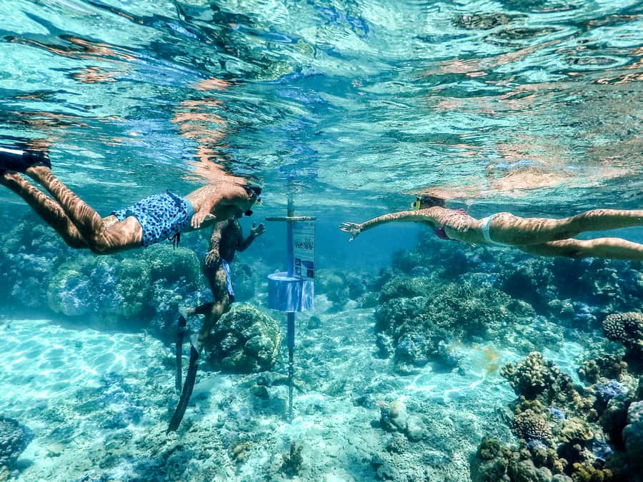 Bora Bora: Lagoon Tour and Snorkeling Experience - Is $138 a fair price?