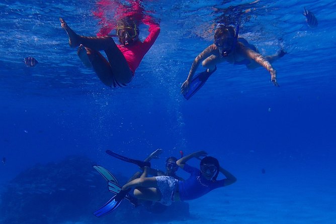 Bora Bora: Luxury Private Half Day Snorkeling Tour - Water entry is the main physical issue