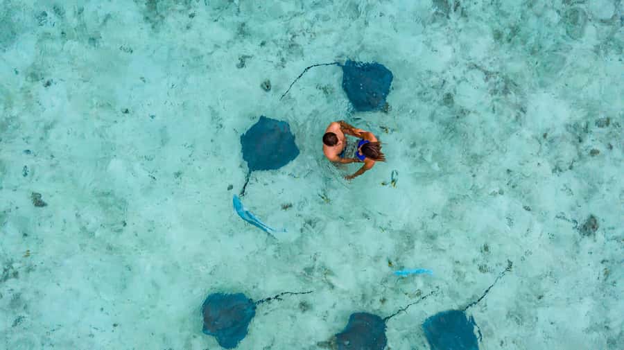 Bora Bora Luxury Tour and Beach Picnic - Guides, languages, and the feel of the day