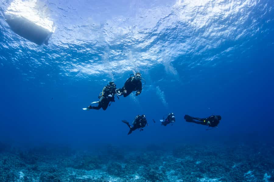 Bora Bora: Morning 2 tank dive for certified divers - Tea, cookies, and a useful surface break