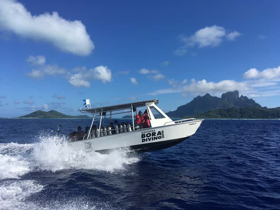 Bora Bora: Morning 2 tank dive for certified divers - Who should book this morning experience?