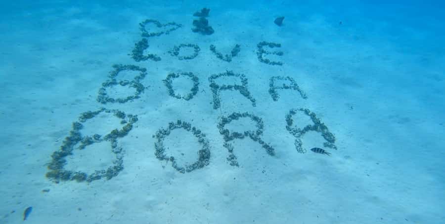 Bora Bora: Private 1/2 day lagoon safari tour - Why this private safari works well in Bora Bora