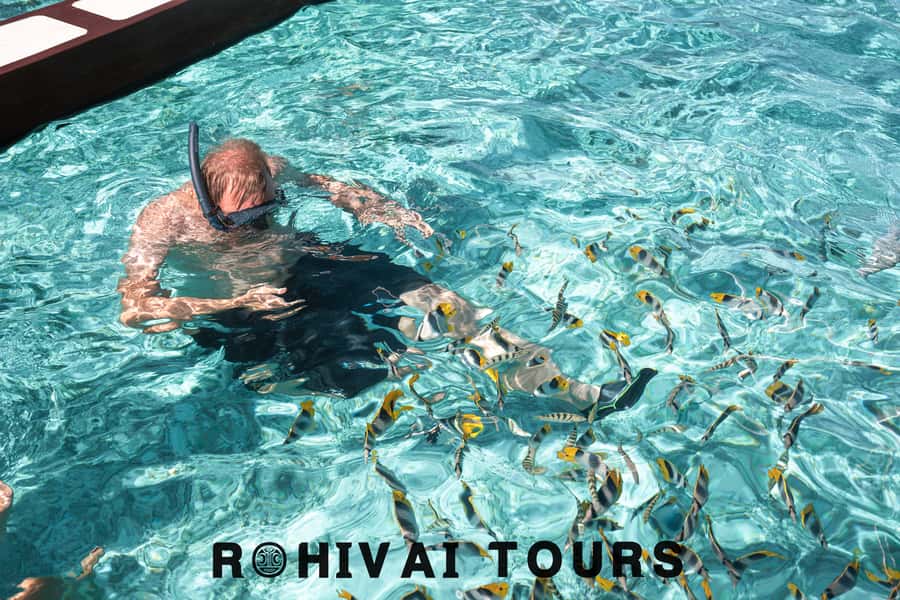 Bora Bora: Private 1/2 day lagoon safari tour - Pickup from resorts, Matira, and Vaitape