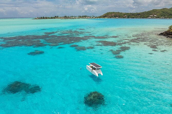 Bora Bora Private Solar Boat Experience - The coral garden and Bora Bora’s underwater color