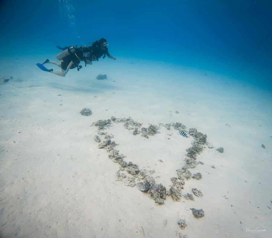 Bora Bora: Romantic Dive for Two People (Beginners) - Key Points Before You Book