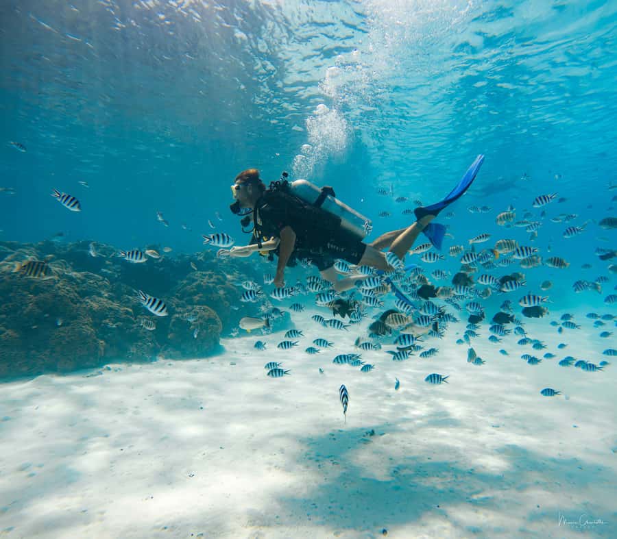 Bora Bora: Romantic Dive for Two People (Beginners) - The 20-Minute Speedboat Ride
