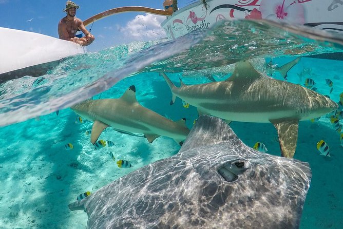 Bora Bora Snorkel Cruise by Polynesian Outrigger Canoe with BBQ Island Lunch - Key details at a glance