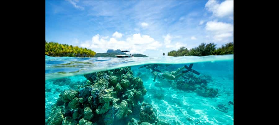 Bora Bora: Snorkeling and Fishing Tour with Lunch Option - The key details at a glance
