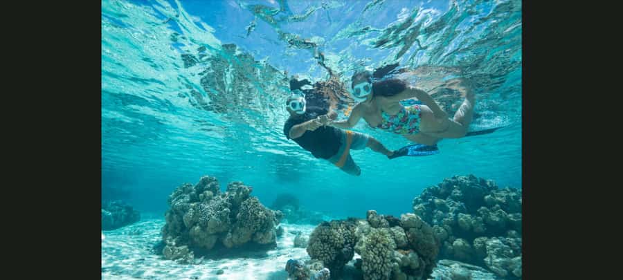 Bora Bora: Snorkeling and Fishing Tour with Lunch Option - Setting out from your hotel dock
