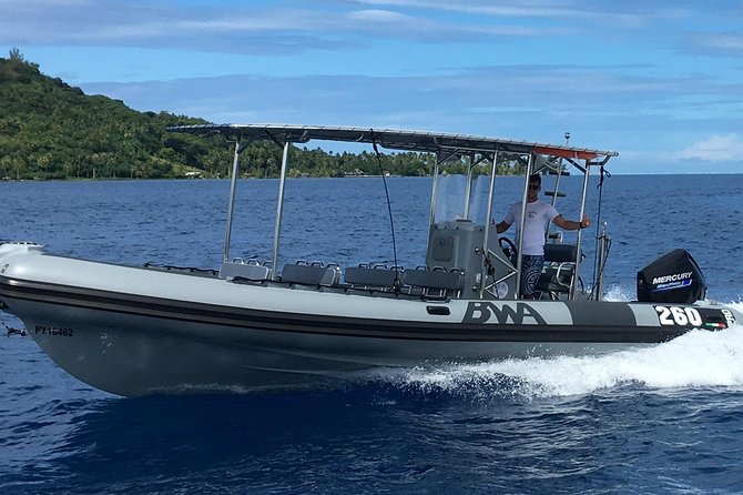 Bora Bora Whale Watching - What rough water can mean for your day