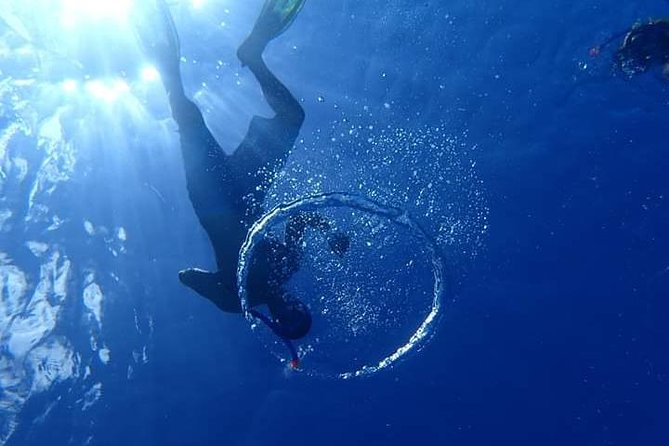 Combo Diving and Snorkeling Half-Day Tour - Booking, weather, and cancellation details